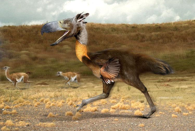 Фото:yandex.ru/images/