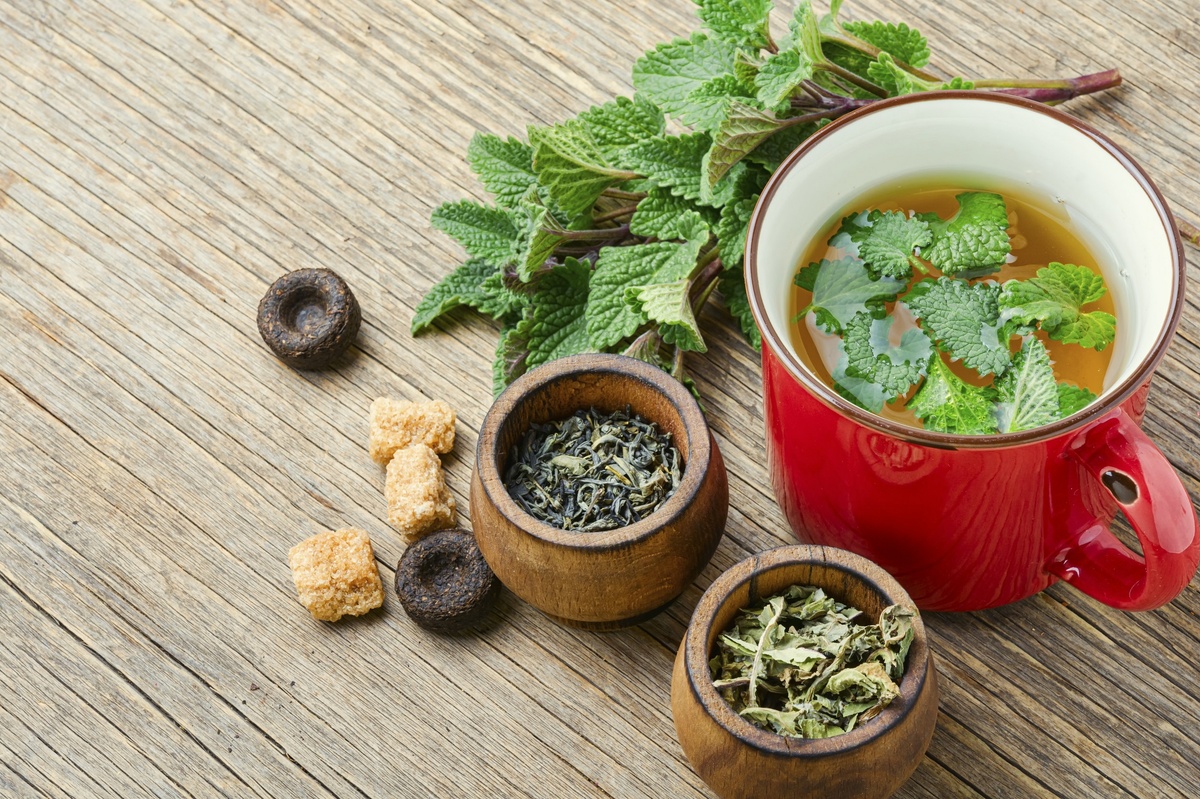 Чай из мелиссы лимонной