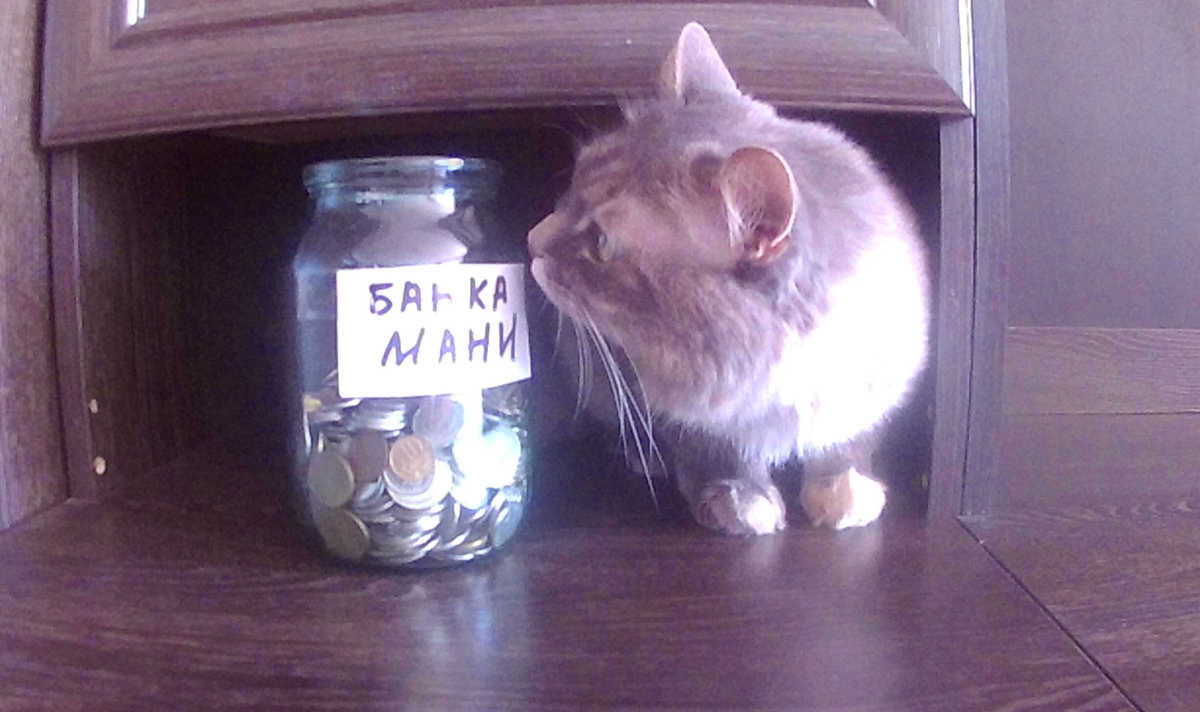 Маня и её банк. Снимок годичной давности. Сейчас банка уже полная