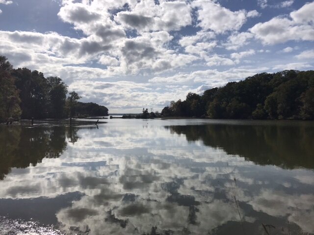 Из личной коллекции "Фото друзей"