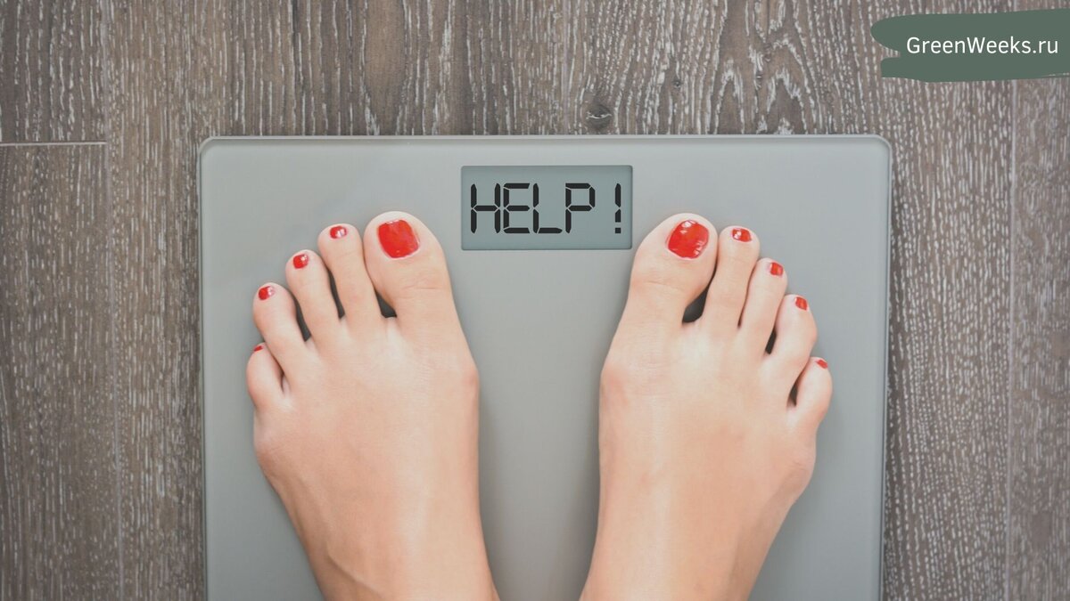 Изображение взято из открытых источников Интернета