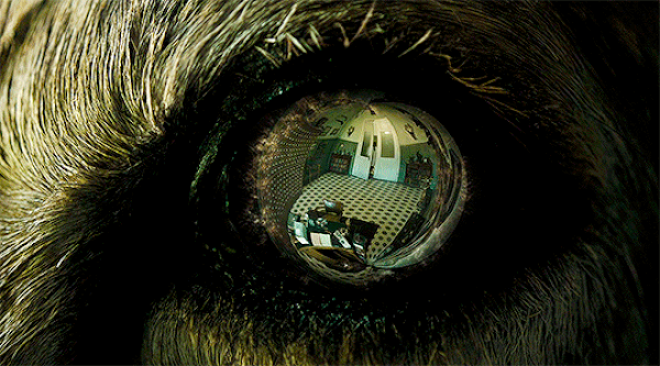 Кадр из фильма Лекарство от здоровья. Психологический хоррор