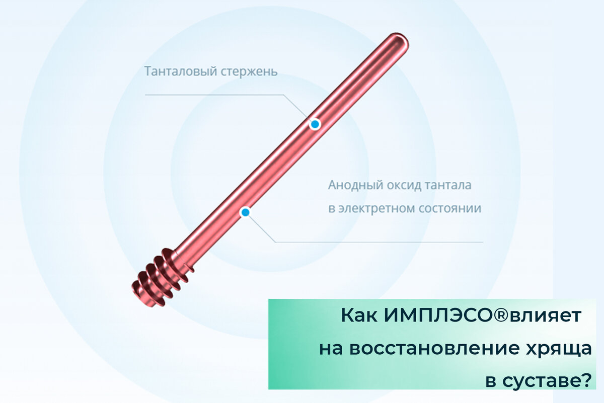Как ИМПЛЭСО® влияет на восстановление хряща в суставе?