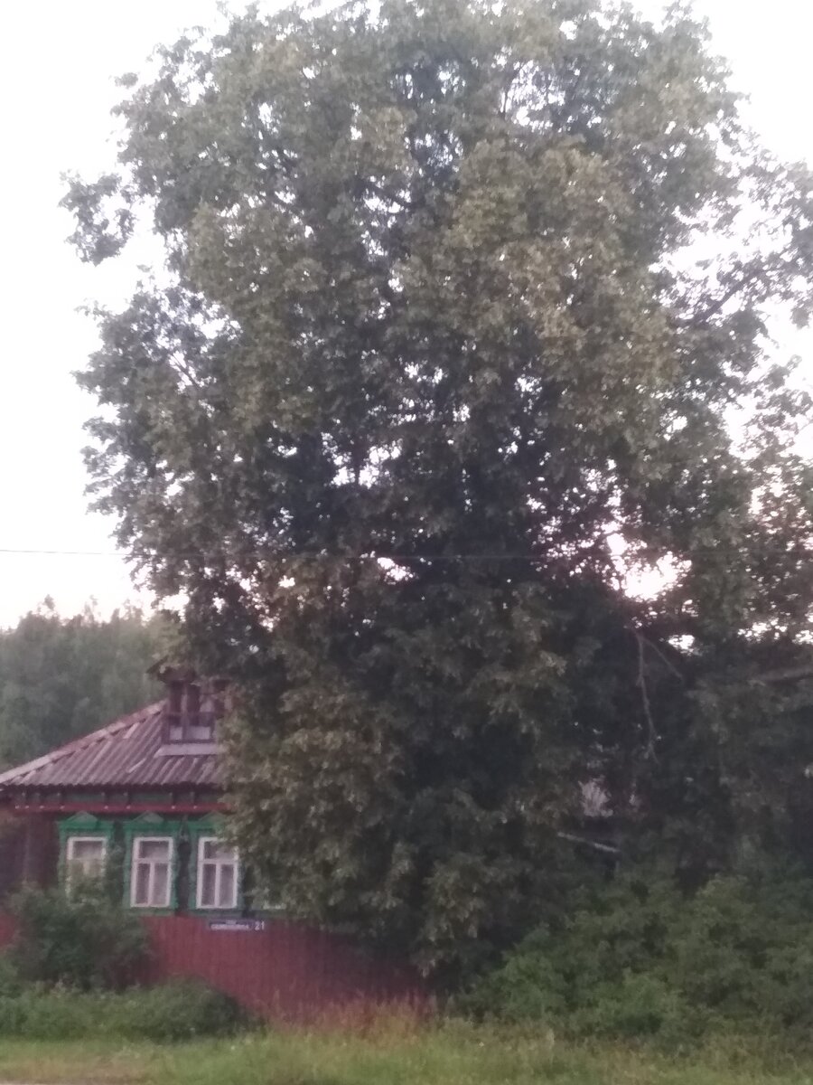 Дома в деревне бывают разные... Не все мечтают именно о таком