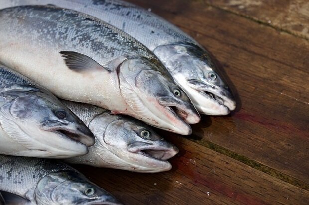 фото: https://pixabay.com/