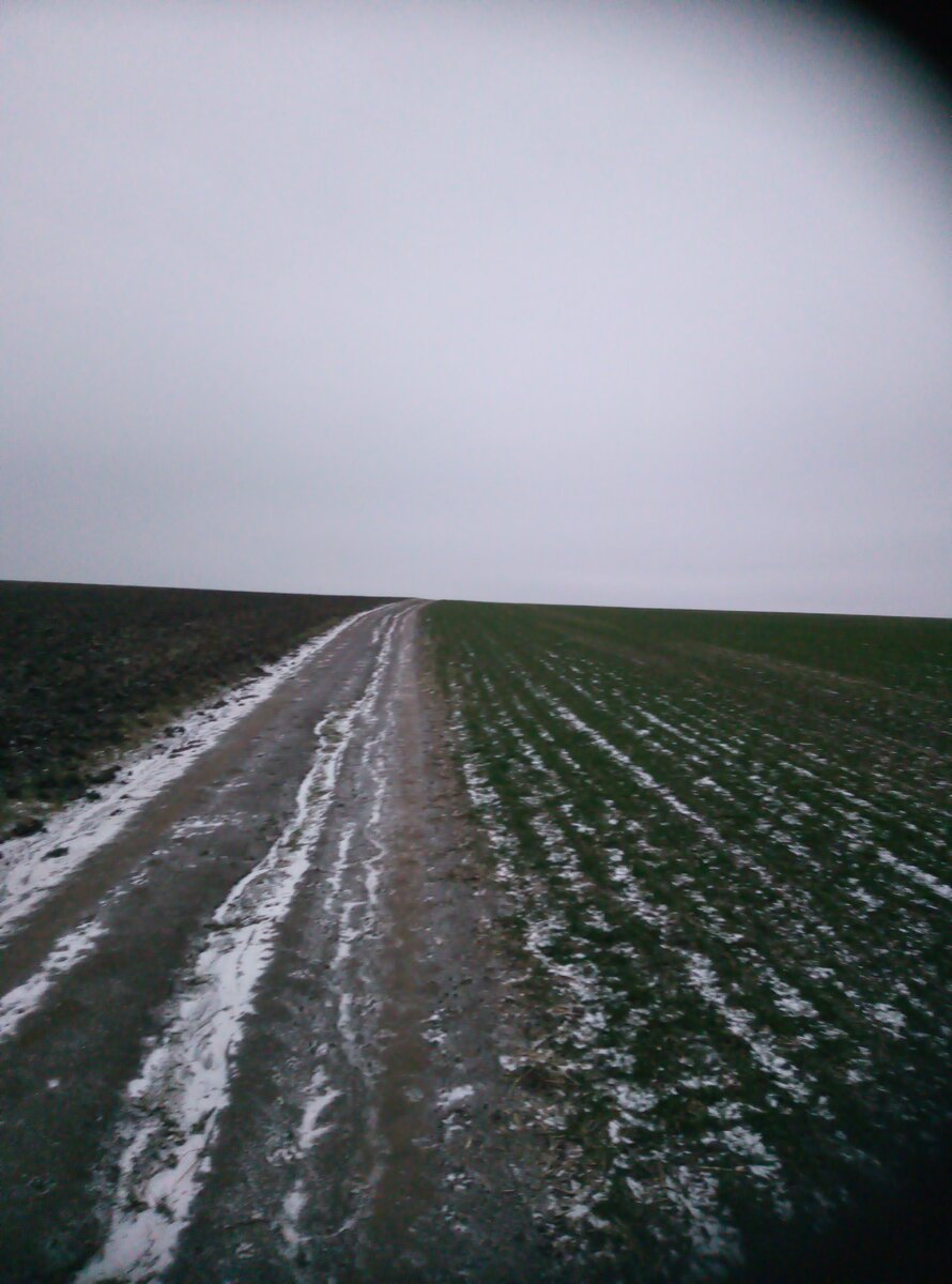 Счастье заключается в ощущении своей свободы быть самим собой