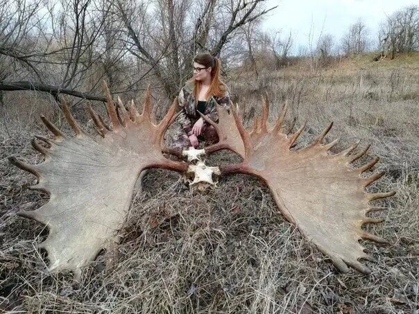 23-летняя Александра Тютчева из Серпухова обожает ходить на охоту и фотографироваться со своими трофеями. Самый большой трофей охотница добыла на Камчатке — это огромный бурый медведь. Его вес достигал 250 кг.