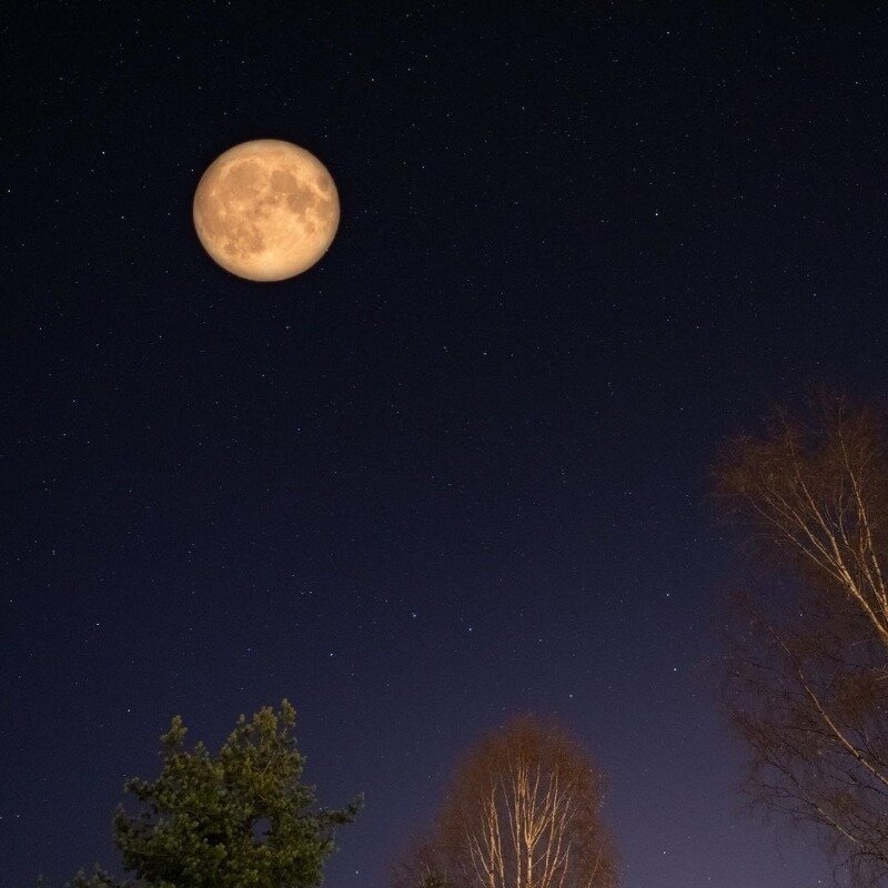 Фото https://www.instagram.com/p/CHA5NJlnvtL/