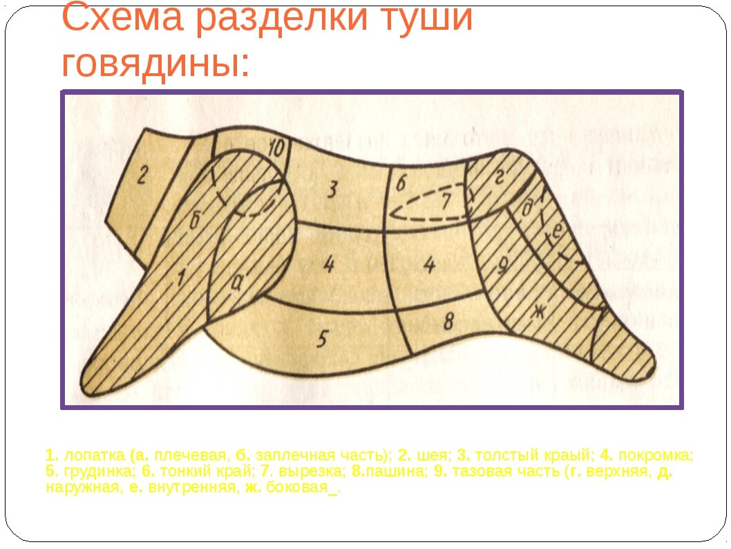 Примерная контактная  схема Навального на инструктаже ФСБ.