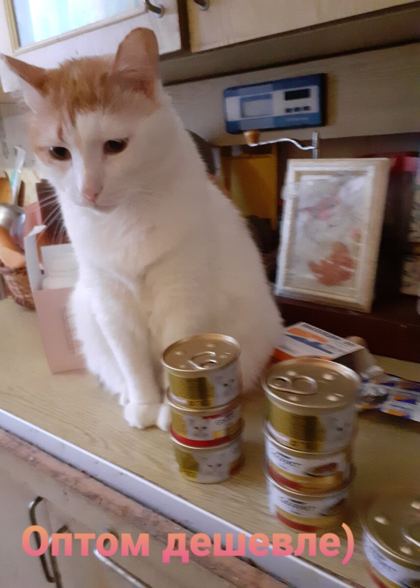 Чем это не открытка? И чем Алька не модель? )))