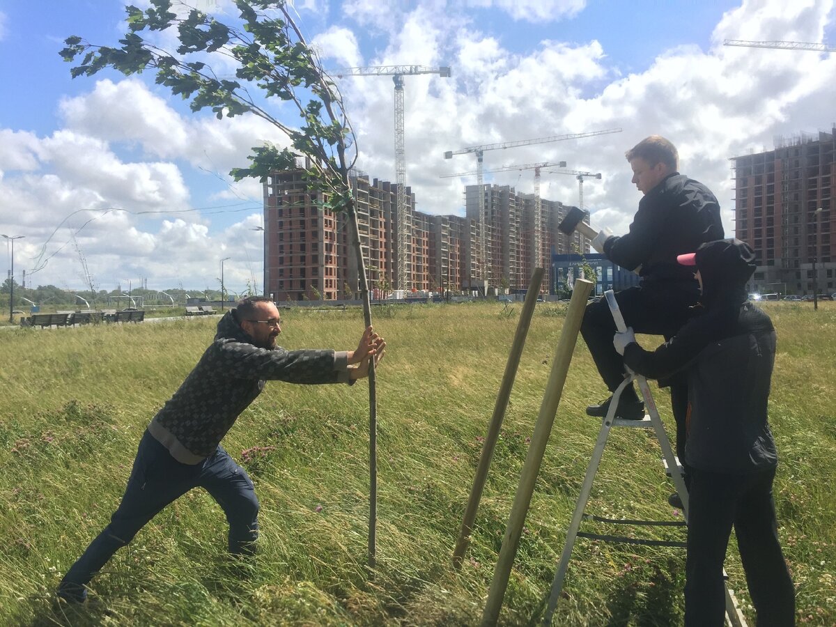 Активиста с кувалдой чуть не унесло намывным ветром в Изумрудный Город, поэтому держать приходилось и его, и стремянку 
