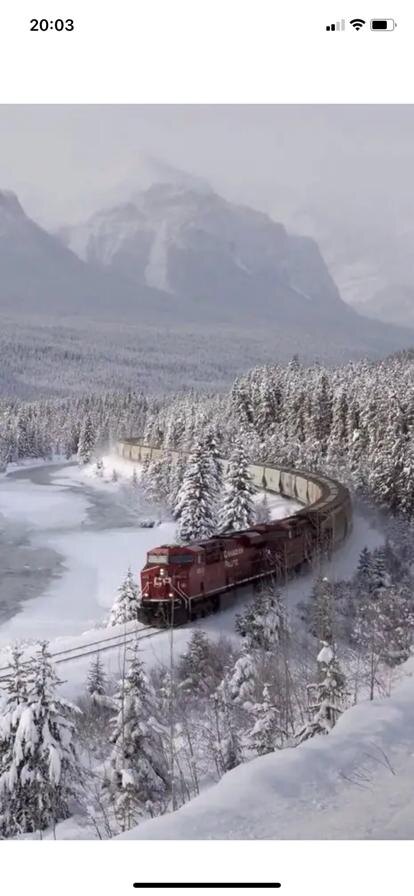 Здравствуйте, дорогие мои друзья! С Новым годом!!!Удачи, радости и много-много позитива! Хочу поделиться с вами впечатлениями от моего новогоднего путешествия. У нас с женой есть замечательные друзья в славном городе Воронеж. Вот к ним мы и решили отправиться в гости и встретить Новый год.. И решили мы добавить романтизма в этот праздник и воспользоваться услугами РЖД... Тем более , что мы с женой лет двадцать как не ездили​ поездами. Сам процесс покупки билетов нареканий не вызывает. Процесс списания денежных средств в нашей стране отлажен великолепно.) Казанский вокзал встретил нас предпраздничной суетой. Не думал, что увидеть табло с указанием пути и номера поезда окажется трудновыполнимой задачей... Но это, действительно, так. Табло спряталось на крыше какого-то строения и увидеть информацию нужно очень постараться. Ну, да ладно.. Поезд был найден и наш вагон присутствовал.) Купе чистое, вопросов нет. Мысль посетить вагон-ресторан пришла нам в голову одновременно с желанием начать праздник бокалом шампанского. Сделав нехитрый заказ, состоящий из яичницы, салата и кофе, мы уютно расположились за столиком. Первые сомнения в комфортном отдыхе у меня закрались, когда цифры температуры воздуха неуклонно приближались к отметке +26. И вместе с чувством голода пришло огромное желание раздеться.) Видимо, ресторан находится на хозрасчёте и экономия ресурса кондиционера превыше удобства клиентов.) Тем более ждать яичницу пришлось минут 40.. Ну, никак курица не могла снести несчастные три яйца.) В общем,​ процесс приёма пищи занял гораздо меньше времени, чем ожидание заказа. Вернувшись в купе и удобно расположившись на полках мы занялись лучшим средством времяпрепровождения молодёжи... Нет, не сексом..)) Полезли на просторы интернета и социальных сетей в частности поздравить родственников с наступающим новым годом .Точнее, попытались.. Вай фай упорно не желал видеть нас в своей сети. Так и не добившись от него взаимности мы вернулись к первому средству времяпрепровождению.) Разумеется, возможность регулировать температуру в купе так же отсутствовала. И всё равно, испортить праздничное настроение мы РЖД нам не позволили. Друзья встретили нас прекрасным настроением и​ накрытым столом. Не вдаваясь в подробности, время пролетело быстро и весело.. И настал день расставания. Вокзал встретил нас "весенней" слякотью и привычной суетой. Загрузившись в купе и пустив слезу, прощаясь с друзьями через окно, мы тронулись в путь. Желание позавтракать возникло у нас с женой одновременно. Была слабая надежда, что в этом поезде режим экономии отсутствует. Не сработало. Вагон-ресторан встретил нас привычными цифрами +26..Желание быстро съесть недожаренную яичницу (видимо , это фишка вагона-ресторана) и покинуть уютный вагон было непреодолимо. Попытка​ подключиться к сети вай фай закончилась также не в мою пользу.. И тут! О, чудо! Я попадаю на сайт РЖД "Попутчик".. Какого же было моё удивление, когда это приложение определило нас с женой пассажирами поезда Воркута-Москва.. Мысли в голове были разные.. Начиная от фильма " Ирония судьбы или с лёгким паром " до марок и количества алкоголя выпитого накануне.. Но, пообщавшись с соседями, мы успокоились.. С нами всё в порядке. Мы в поезде Адлер - Москва. Вот собственно и всё.. Доехали без происшествий. Спасибо, кстати, дорогие сотрудники РЖД. Вы такие же люди, как и мы. С Новым годом вас!!! А руководство РЖД я хочу
попросить обеспечить поезда полноценным выходом в интернет, ведь тем, кому волею судьбы пришлось отмечать праздник в поезде, хочется поздравить своих родных и принимать поздравления. Не так это трудно и затратно. А даря тепло людям в купе и вагоне-ресторане, дайте им возможность самим выбрать уровень вашего тёплого гостеприимства. Спасибо
