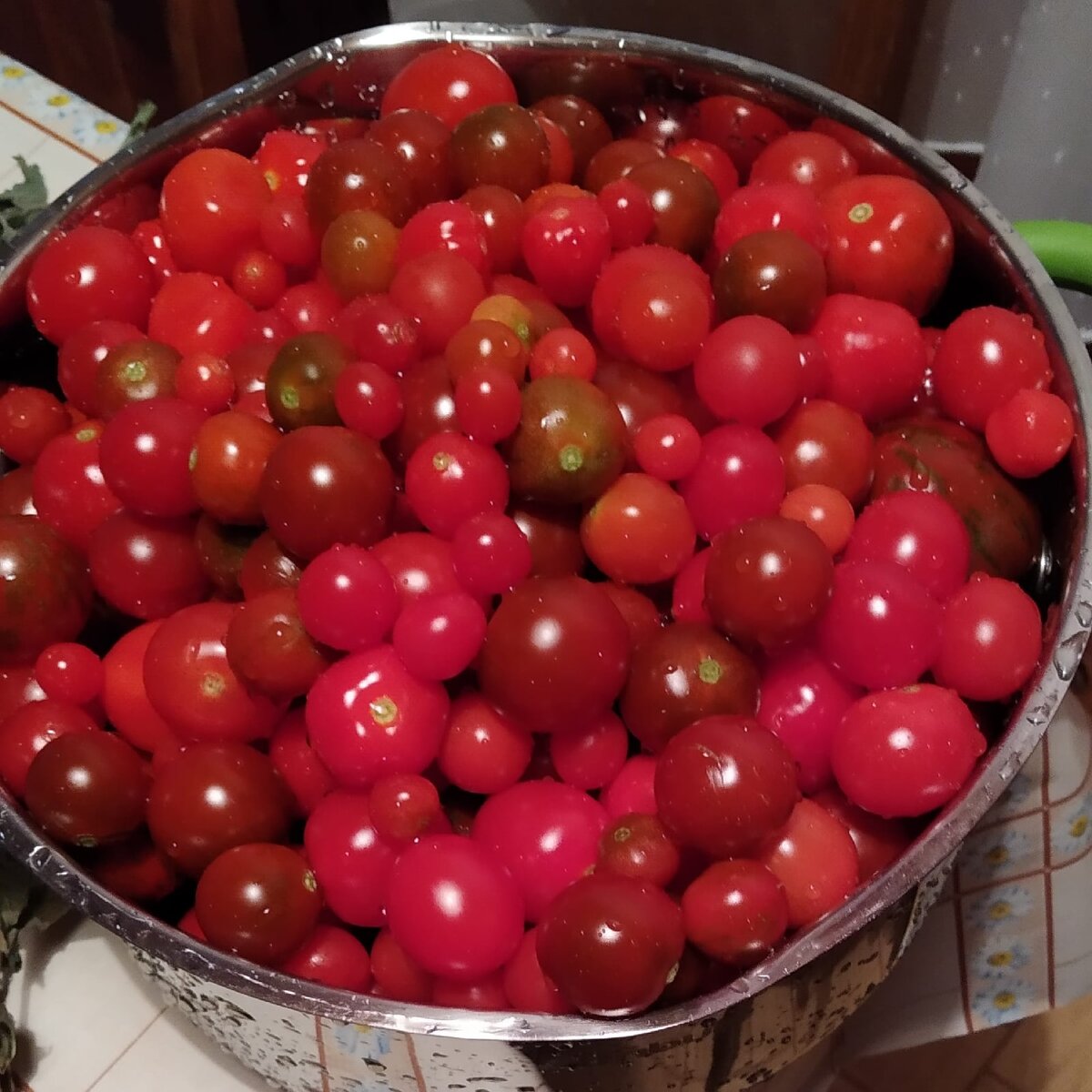 Богатый урожай. Фото автора.