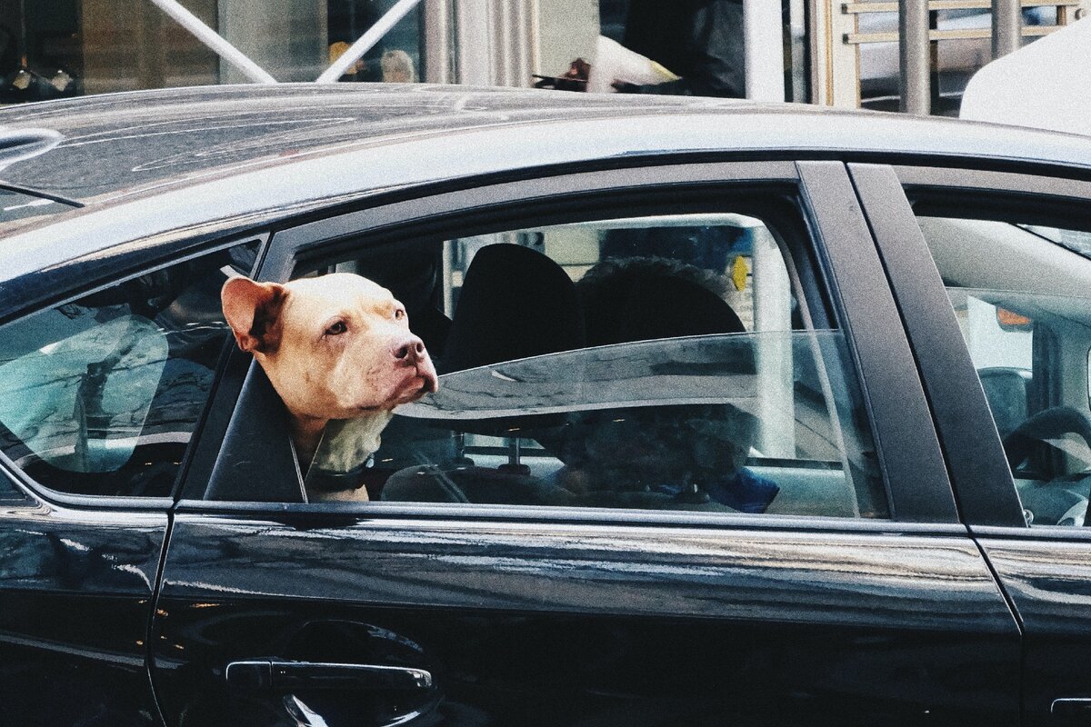 Фото просто для иллюстрации. Автор Jerome (Unsplash)