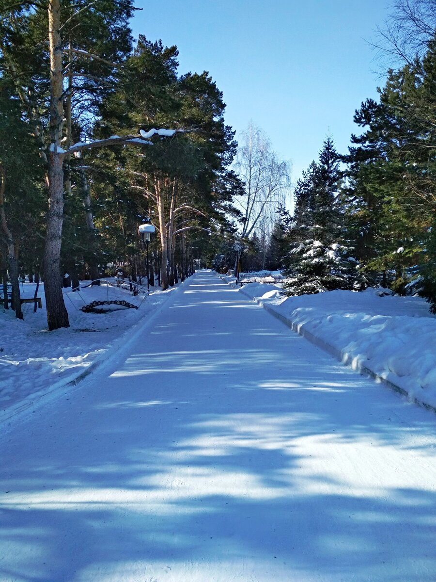 Загородный отдых в Омской области. Рассказываю про цены. | Записки на  ProВерку | Дзен