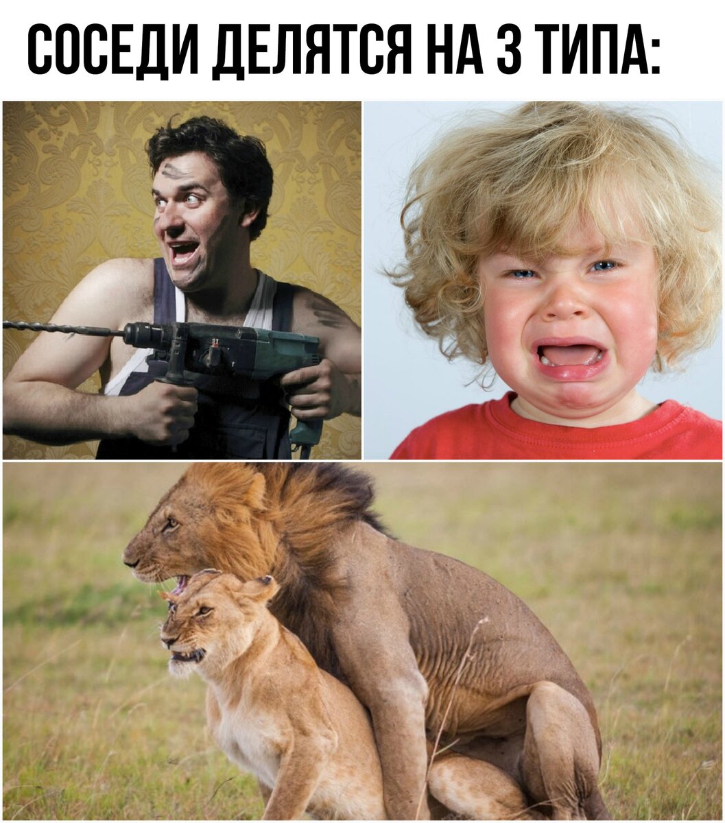 Угарные фото мемы до слез