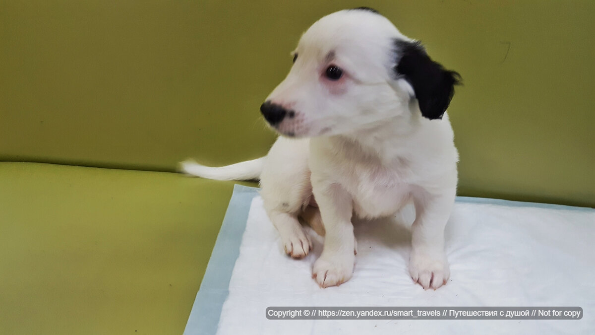 Первая встреча с Винни