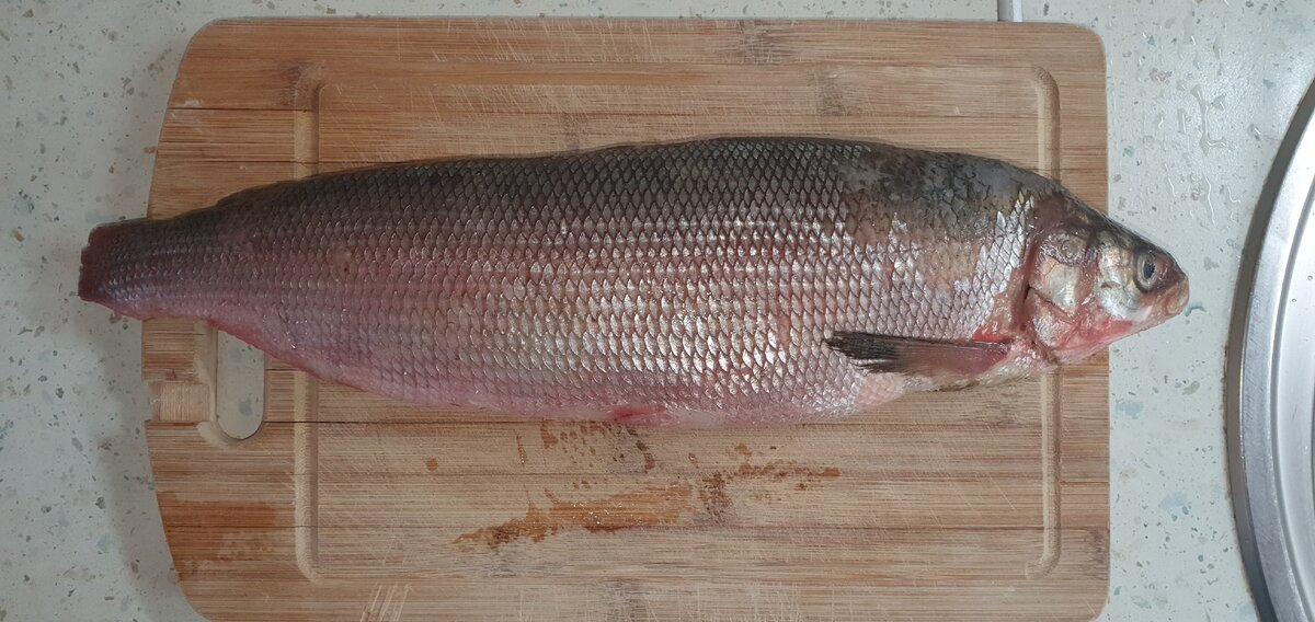 Свежая рыбка