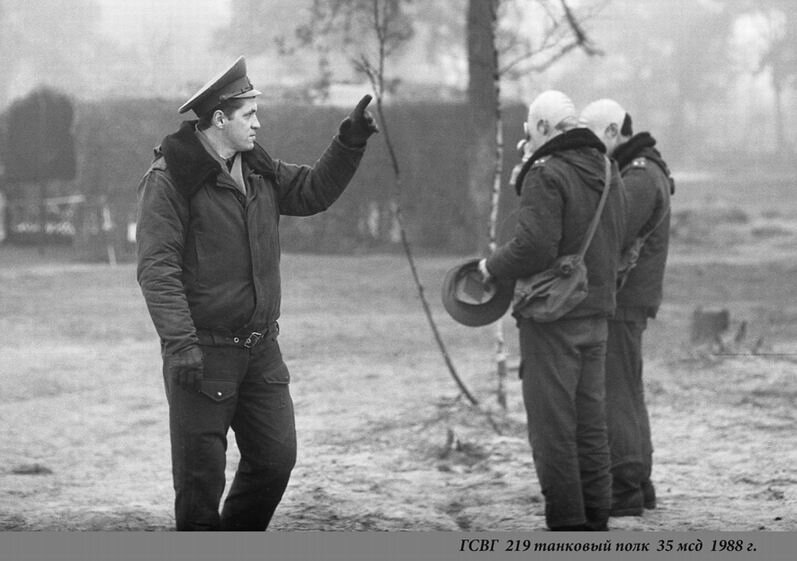 Тяжело в учении... Фото Владимира Шарникова.