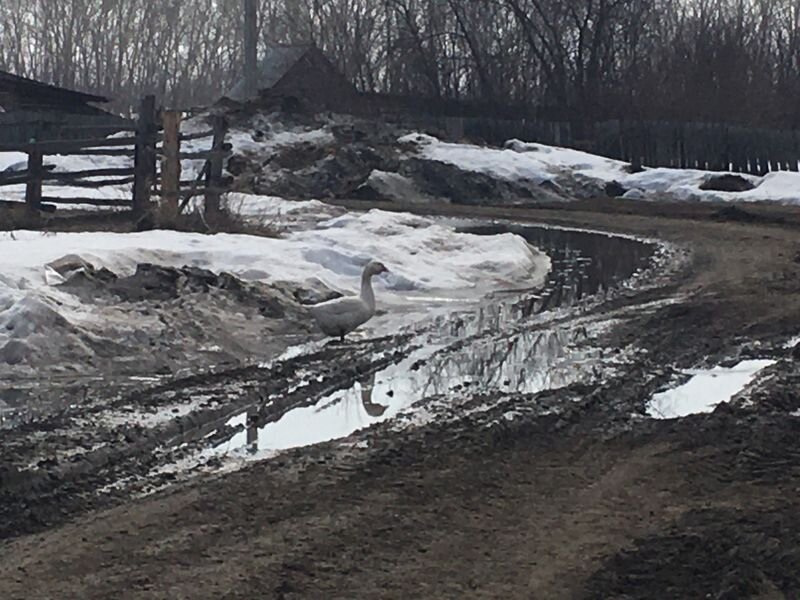 Суровая реальность.