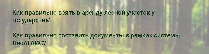 В Лесной кодекс внесены поправки в части аренды лесных участков