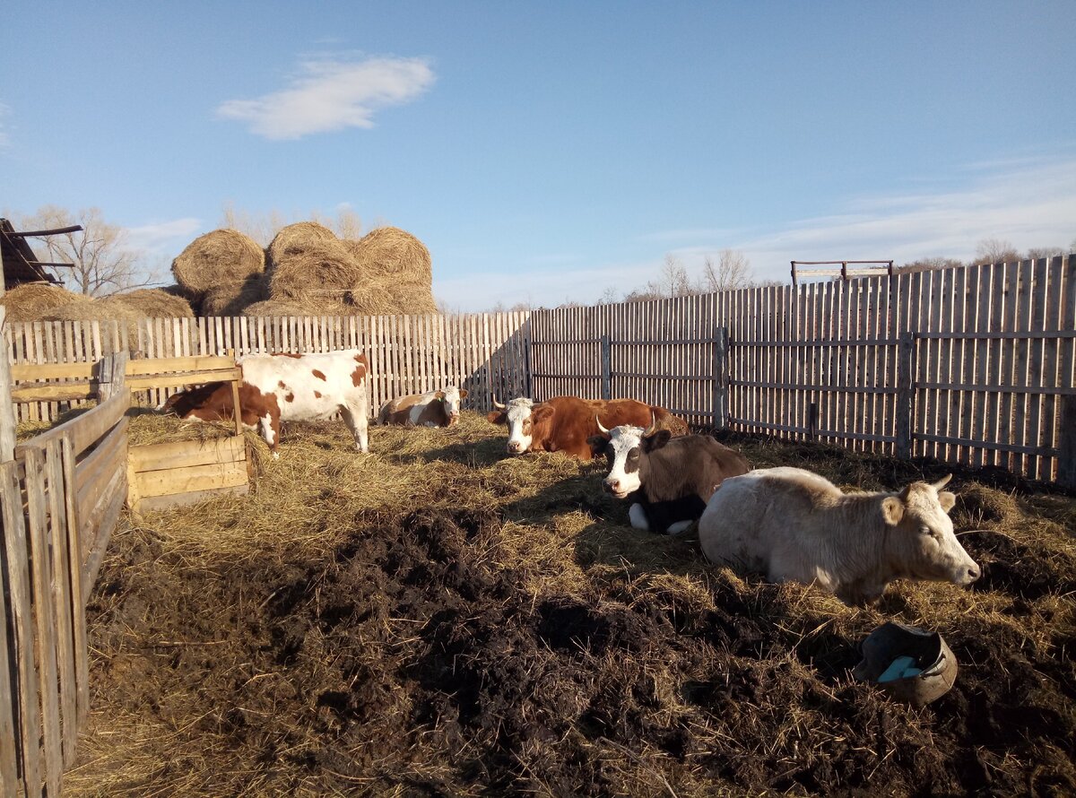 Поели, теперь можно и поспать...