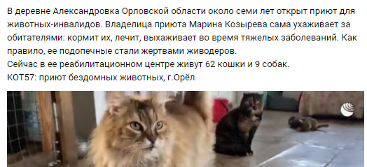 Вырезка из поста с сюжетом в группе "Подслушано Орёл"