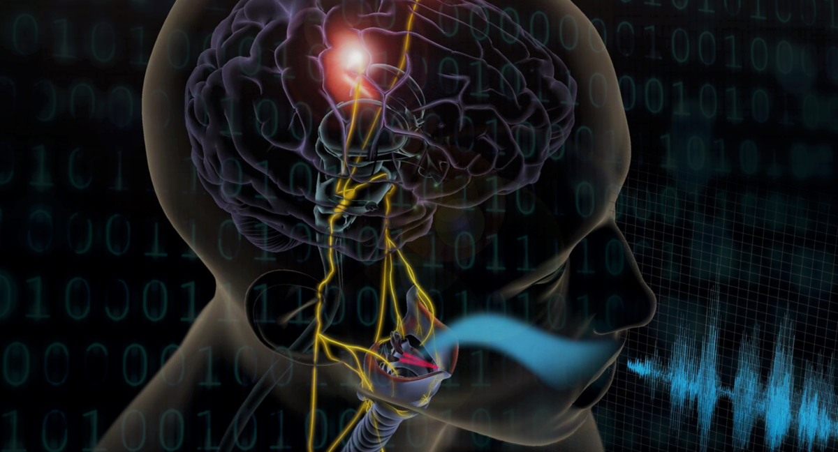 Brain 2 12. Мозговая активность. Строение нейрокомпьютера. Мозг подключен к сети. Наушники Master & Dynamic научились отслеживать активность мозга.
