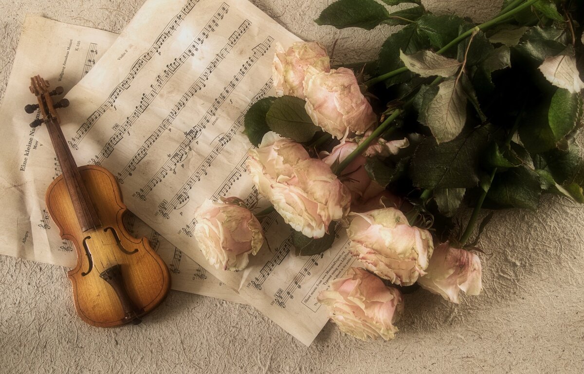 фото с сайта pixabay