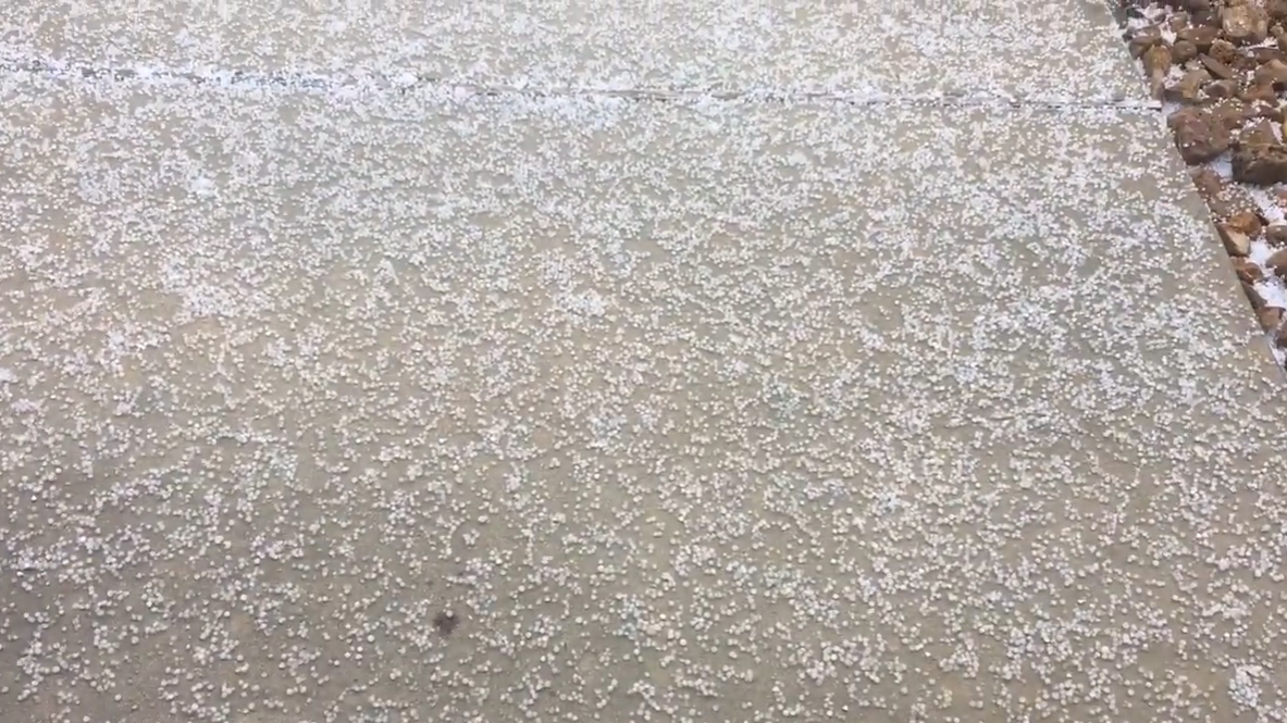 Только что выпавшая ледяная крупа. Фото: KXAN 