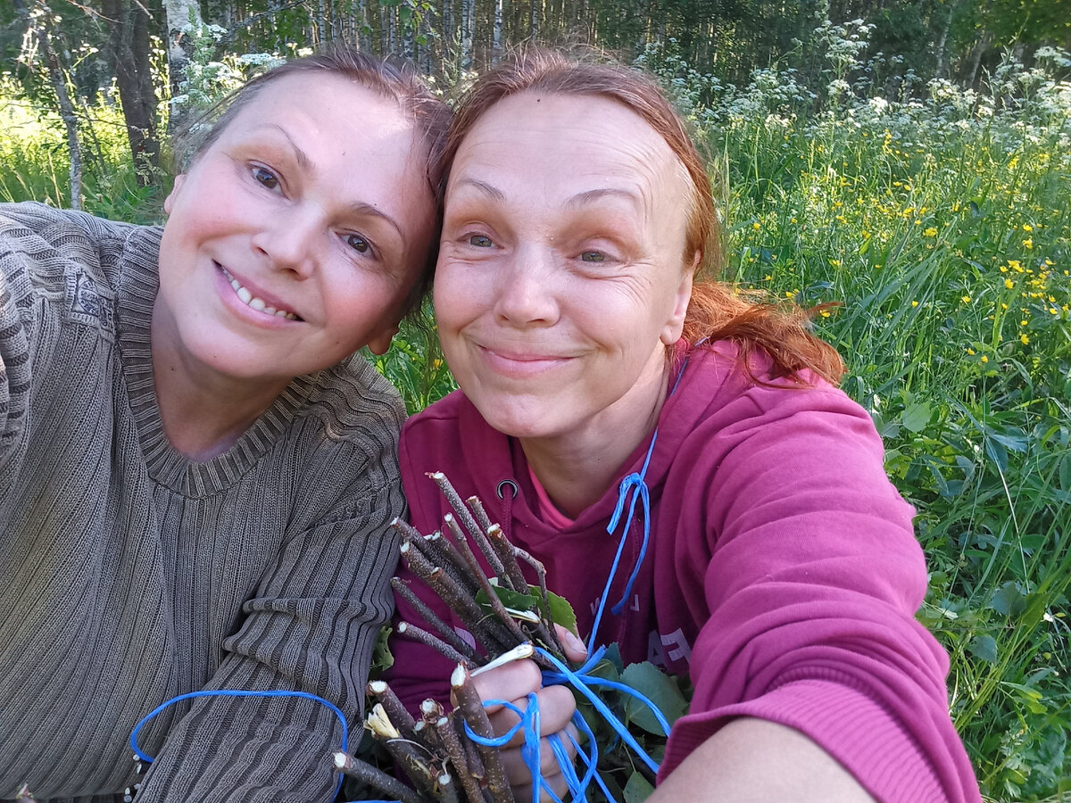 мы вяжем веники)