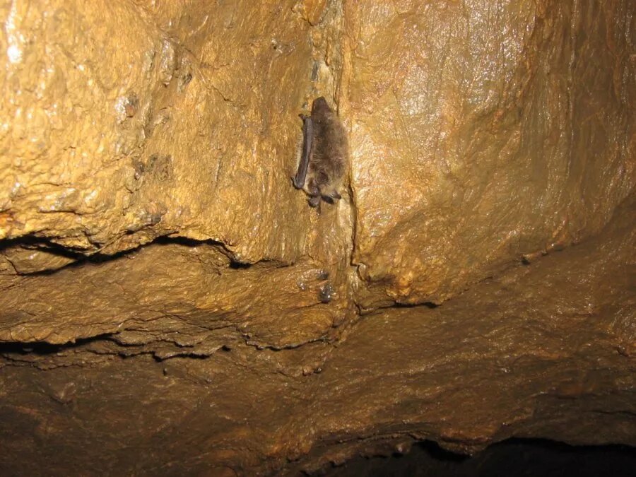 Фото Горсайта