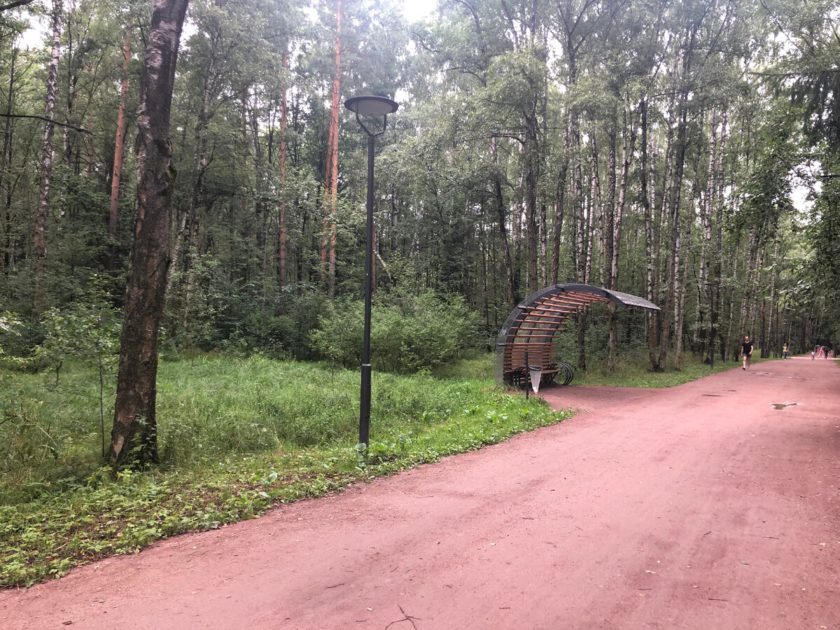 Дорожки в Мещерском парке