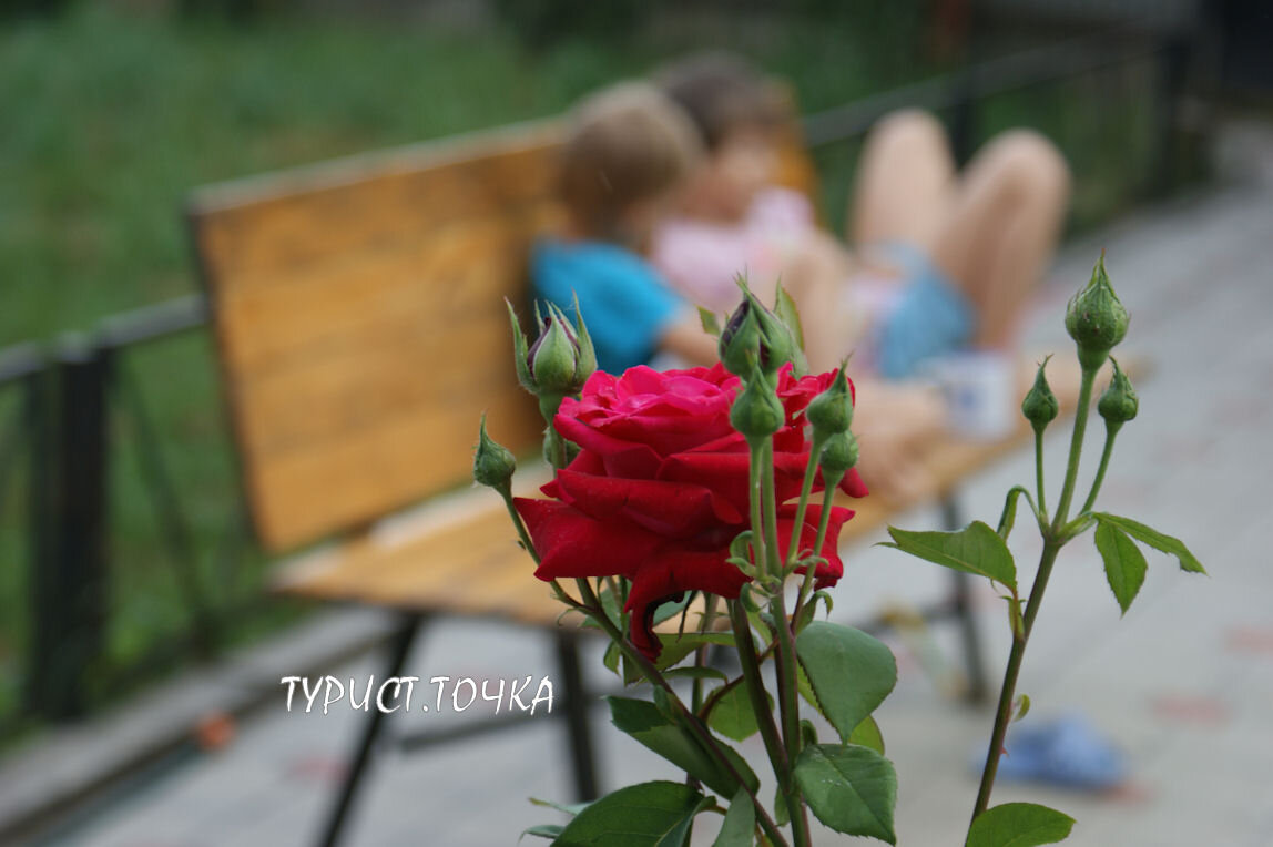 Фото свежей мебели не нашла. Это ей уже года 3, но всё равно не видать