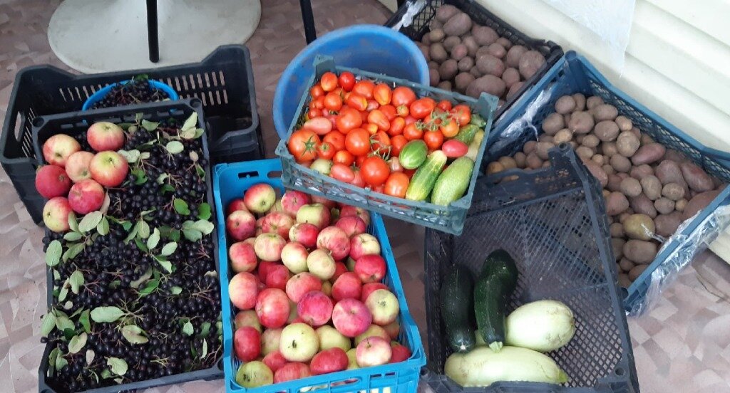 Дачные дары 2021