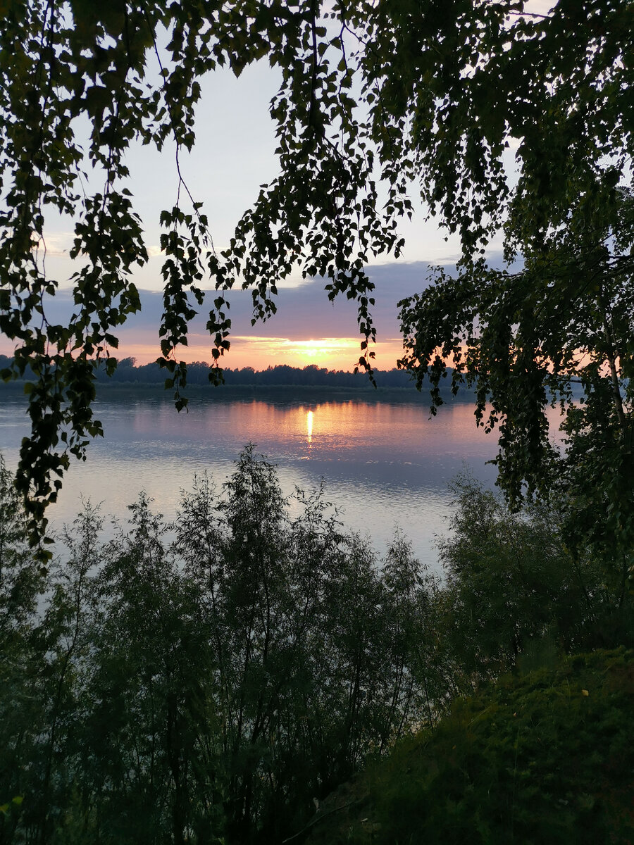 р. Обь