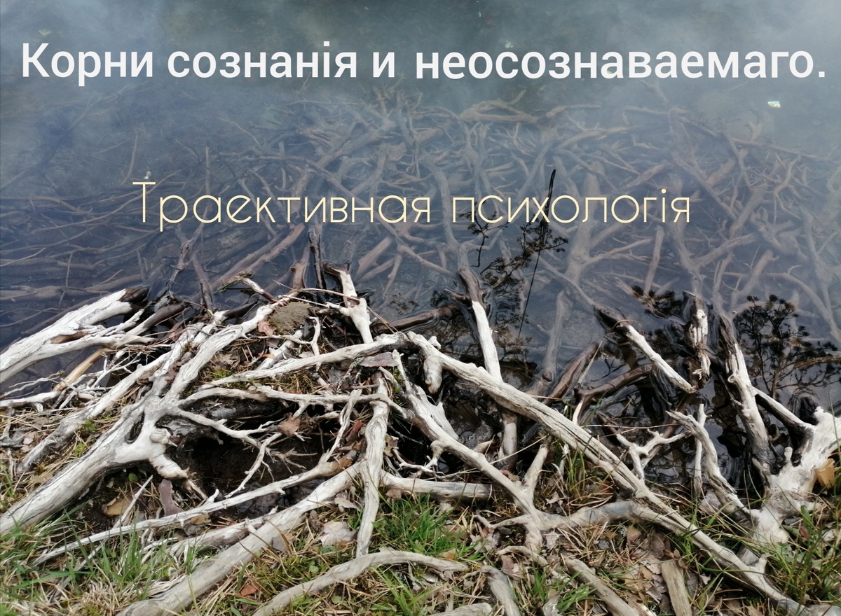 Из дневника психолога. 

...Мы готовы прилагать и не малые усилия; готовы сносить различные тяготы жизни, а то и ступаем на тернистые пути, длиною в целую жизнь — для того лишь, что бы не сталкиваться с самими собой. Когда же случается нам оказаться лицом к лицу с своим внутренним миром, самое ужасное, что приходится ему там обнаружить — это факт полной и безраздельной ответственности за ту жизнь, которую мы выбрали и выбираем вновь и вновь.

Пожалуй, нет в человеке более принудительной и закоренелой идеи чем та, что сценарий его жизни создаётся кем-то другим, а он лишь отыгрывает в этой картине предписываемые роли. При этом, конечно же, когда действия персонажа связывают счастливый случай и успех, мы склонны отождествляться с героем, охотно признаём в его образе самих себя. Но когда, напротив, неудача то и дело, что настигает нашего протагониста во всех его делах и начинаниях, мы внутренне дистанцируемся от него и если не презираем и не делаем из него антагониста, то во всяком случае отвергаем какую-либо связь его характера с чертами нашей личности. Так и появляются в самосознании «слепые зоны», где, как бы без нашего участия ведётся какая-то своя жизнь, образующая, как побочный продукт, бессознательные связи, безотчётные мотивы и прочие элементы теневой жизни души. А потом удивляемся сами себе,— как же так, мы хотели одного, а получаем совсем другое; думаем одно, а делаем совершенно противоположное. Словом, почему-то оказываемся и с жизнью и с собою не в ладу. 

Отсюда, задача психотерапии должна состоять прежде всего в том, чтобы возвращать человека к ответственности за каждый фрагмент его истории, выявлять в нём не только эти бесконечные маски и роли, но и самого режиссёра-постановщика всех сцен его жизни.

14.01.2012.

Константин Сорокин, психолог. 