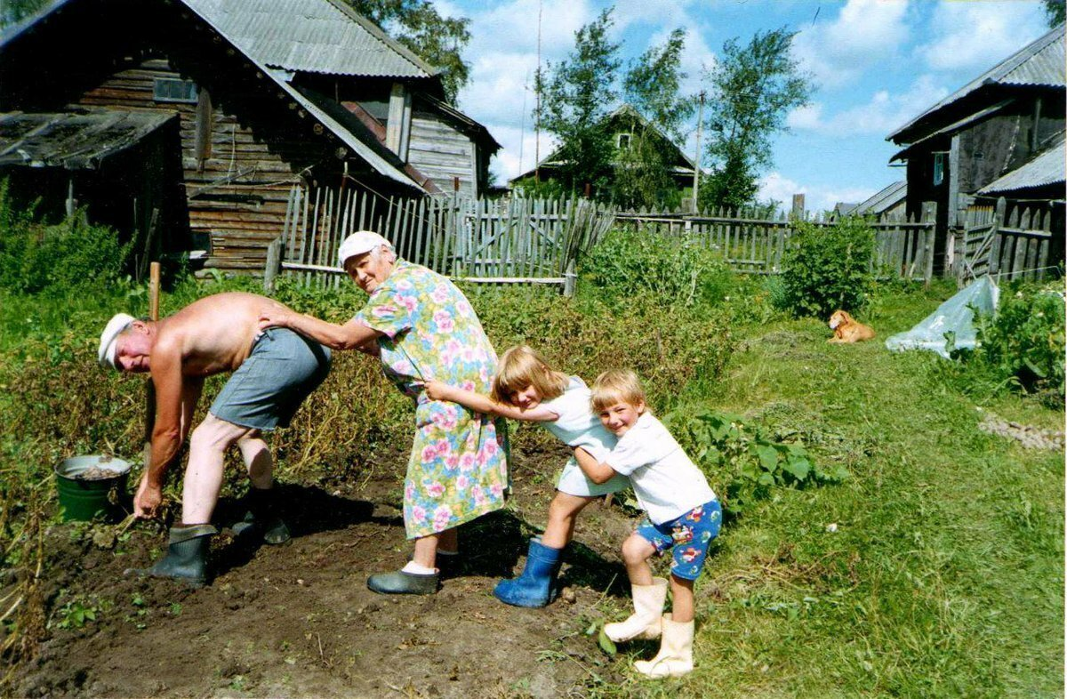 Еду к деревню к деду