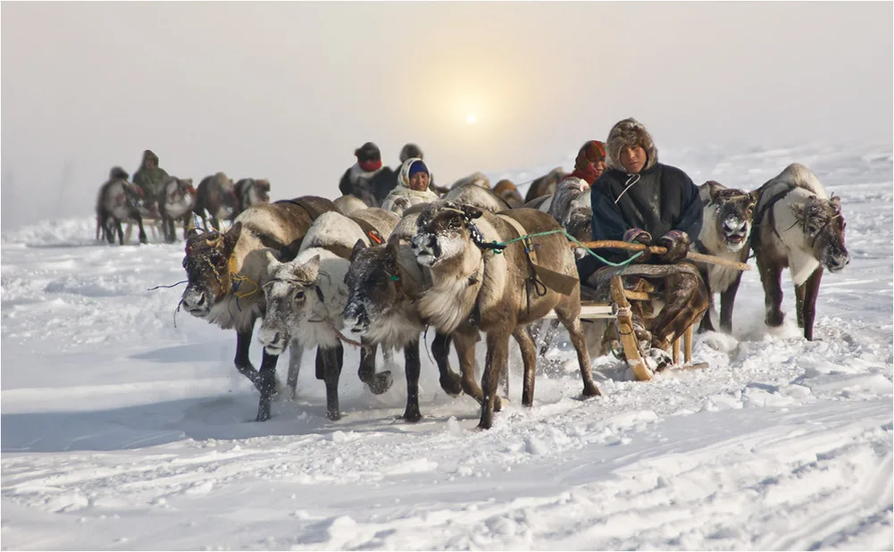 Цыганка зимой. Табор*ру51годкурганскаяоблмышкинискирай. Табор табор цыганский. Цыганка на масленицу. Цыганский табор зимой.