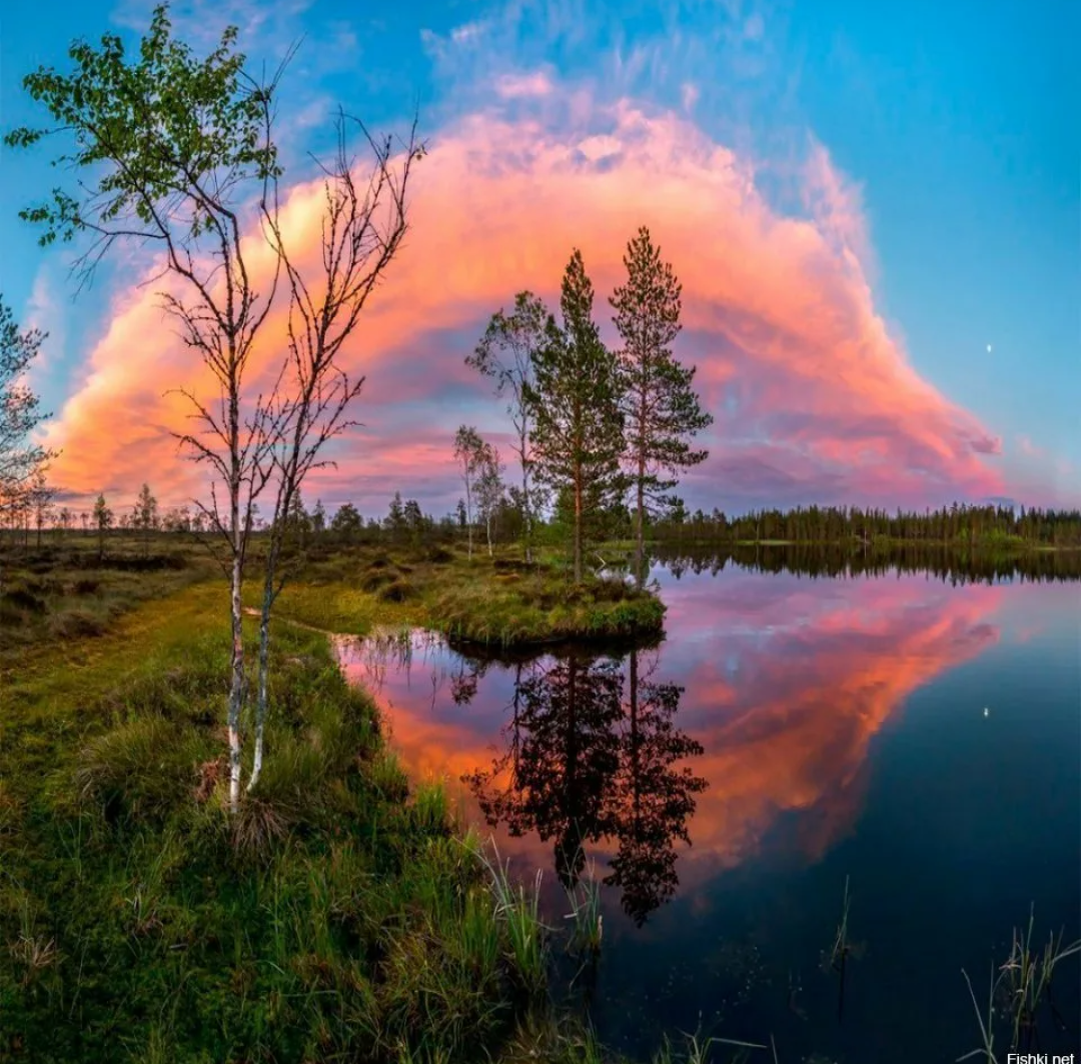 Пленяющая красота русских пейзажей. Природа севера. Природа России. Красота русской природы. Просторы природы.