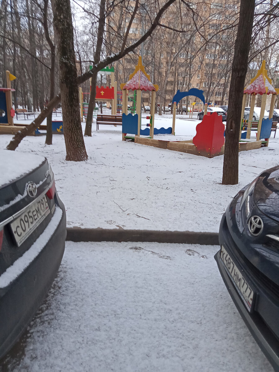 Фото автора. Зима