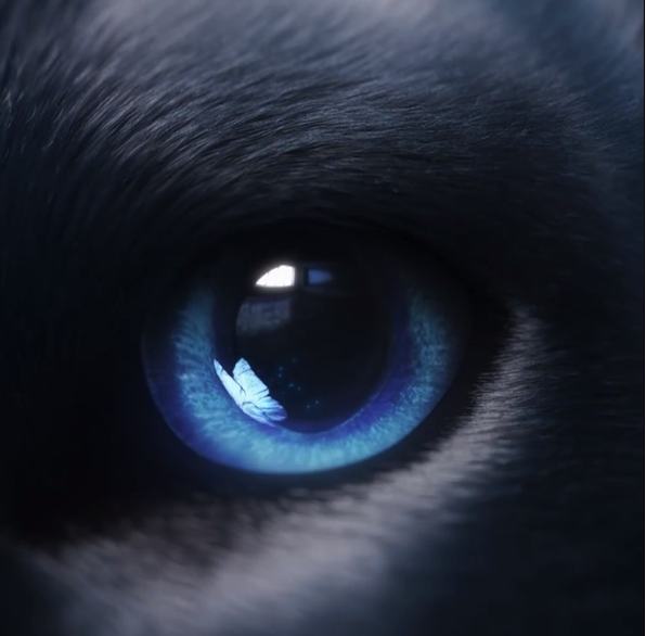 Источник: mydryvers.com