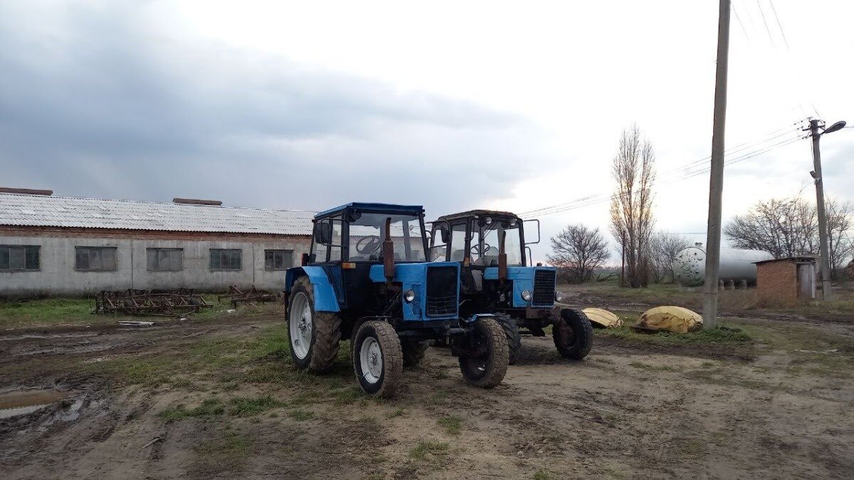 Два трактора МТЗ-82 в хозяйстве Александра Толмачева. Фото: ГлавАгроном