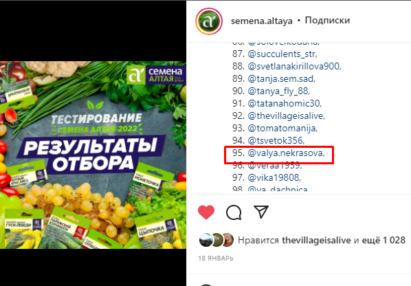 Результаты тестирования. Скрин фото автора