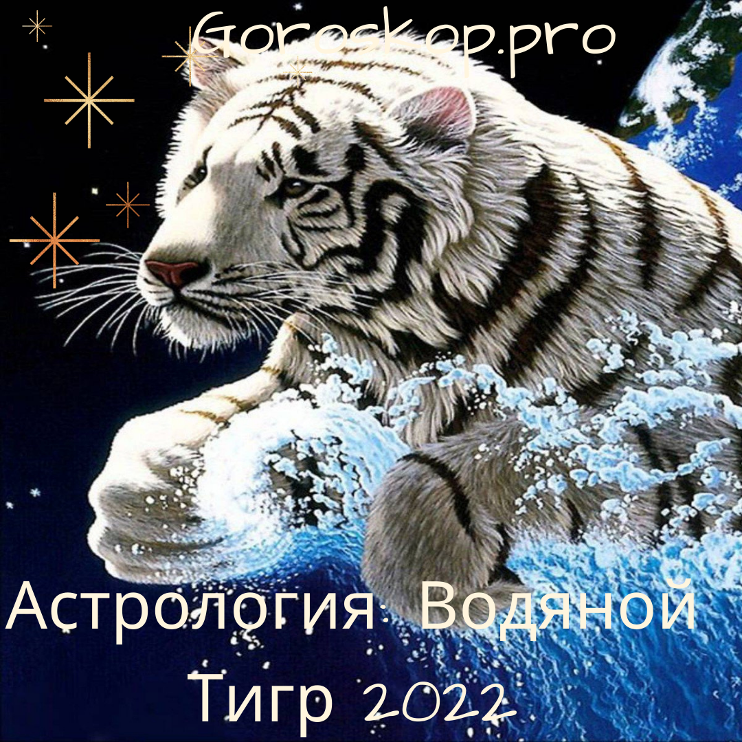 Миф о тигре и магия. Астрология: Водяной Тигр 2022. | Goroskop Pro | Дзен