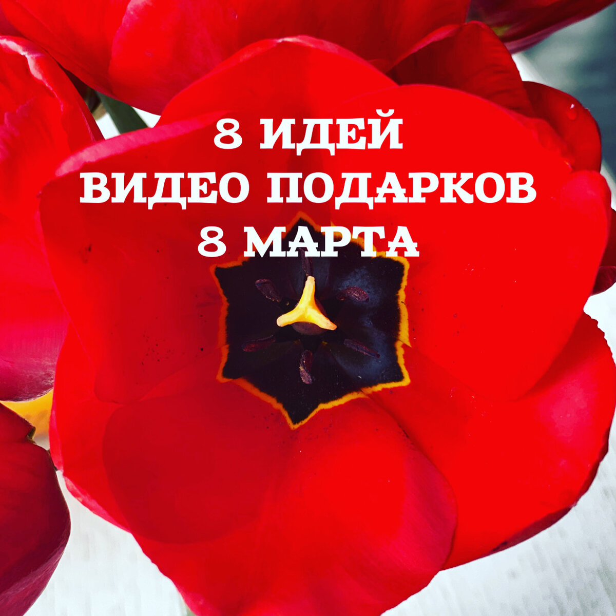 Что подарить на 8 марта
