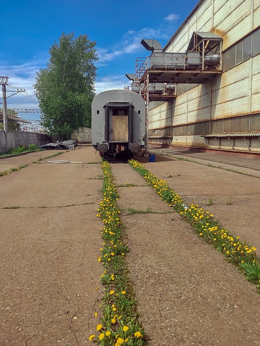 1. Вагоны фирменного поезда «Невский экспресс» на территории МЛРЗ, август 2021