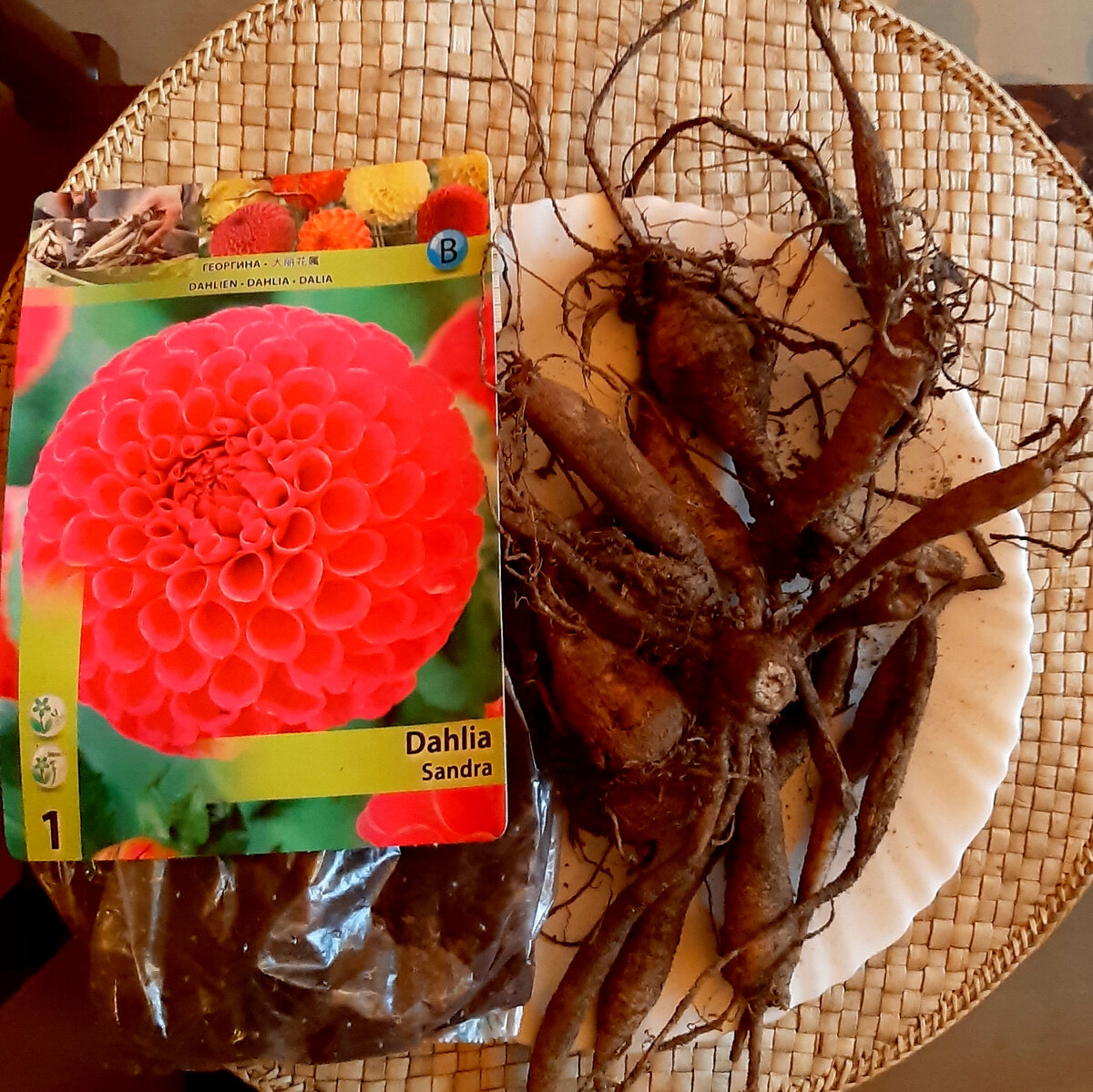 Фото автора. 