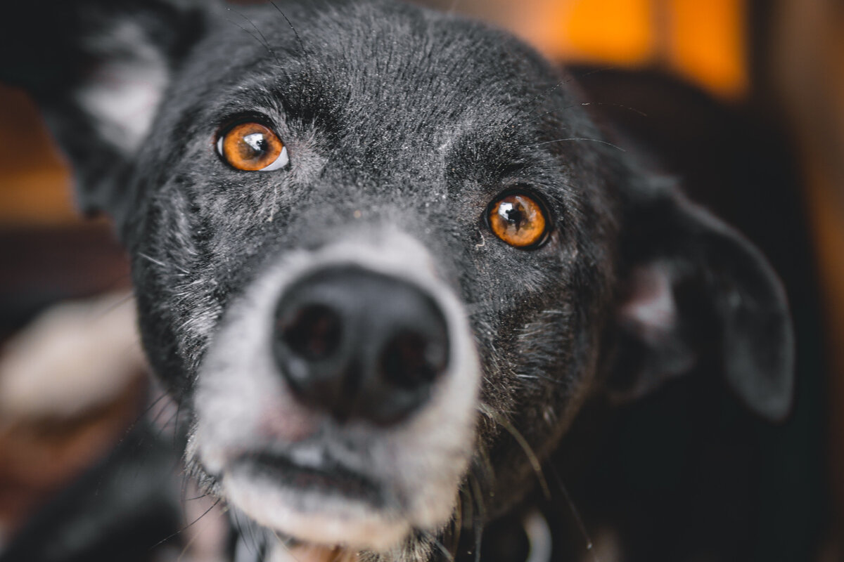 Фото автора jovan curayag: Pexels
