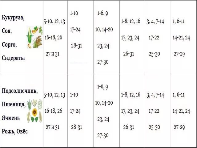 Посевной календарь борщ. Посевной календарь на 2022 для огородников.